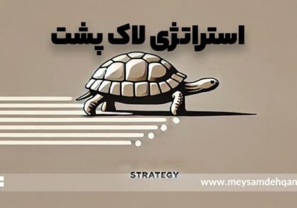 استراتژی لاک پشت