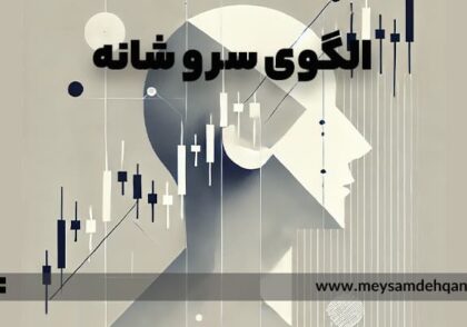الگو سر و شانه